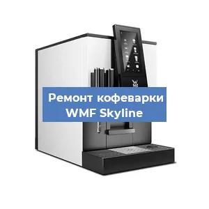 Чистка кофемашины WMF Skyline от накипи в Волгограде